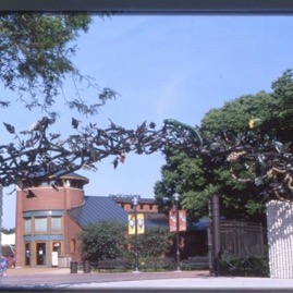 GATES and ENTRANCES - 27.jpg