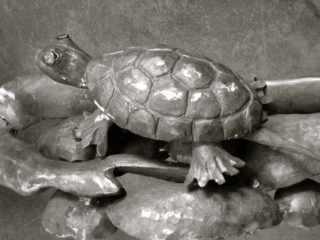 Loading Image