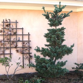 SCULPTURE - 39.jpg
